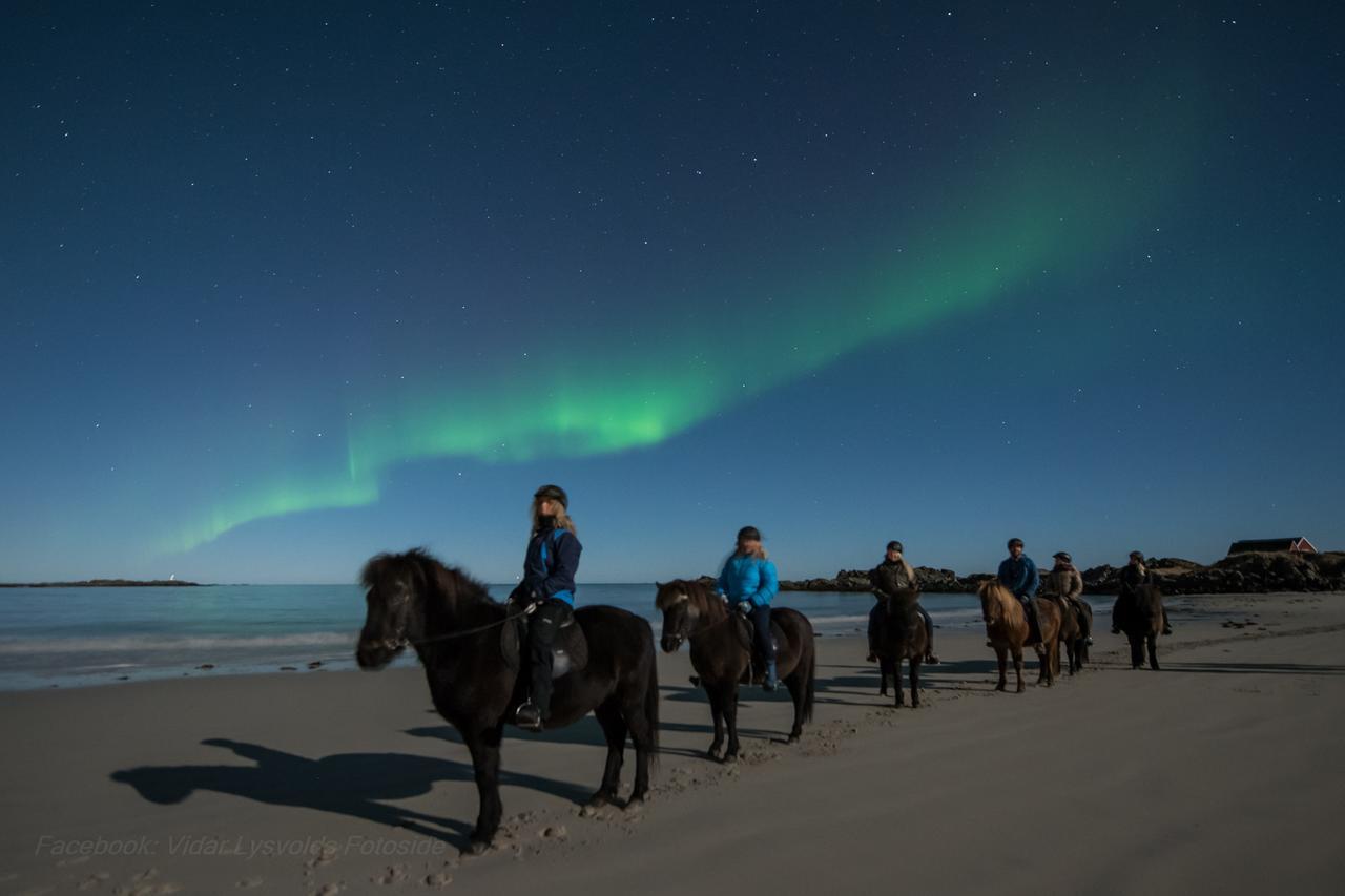 Lofoten Links Lodges Gimsoy Eksteriør billede